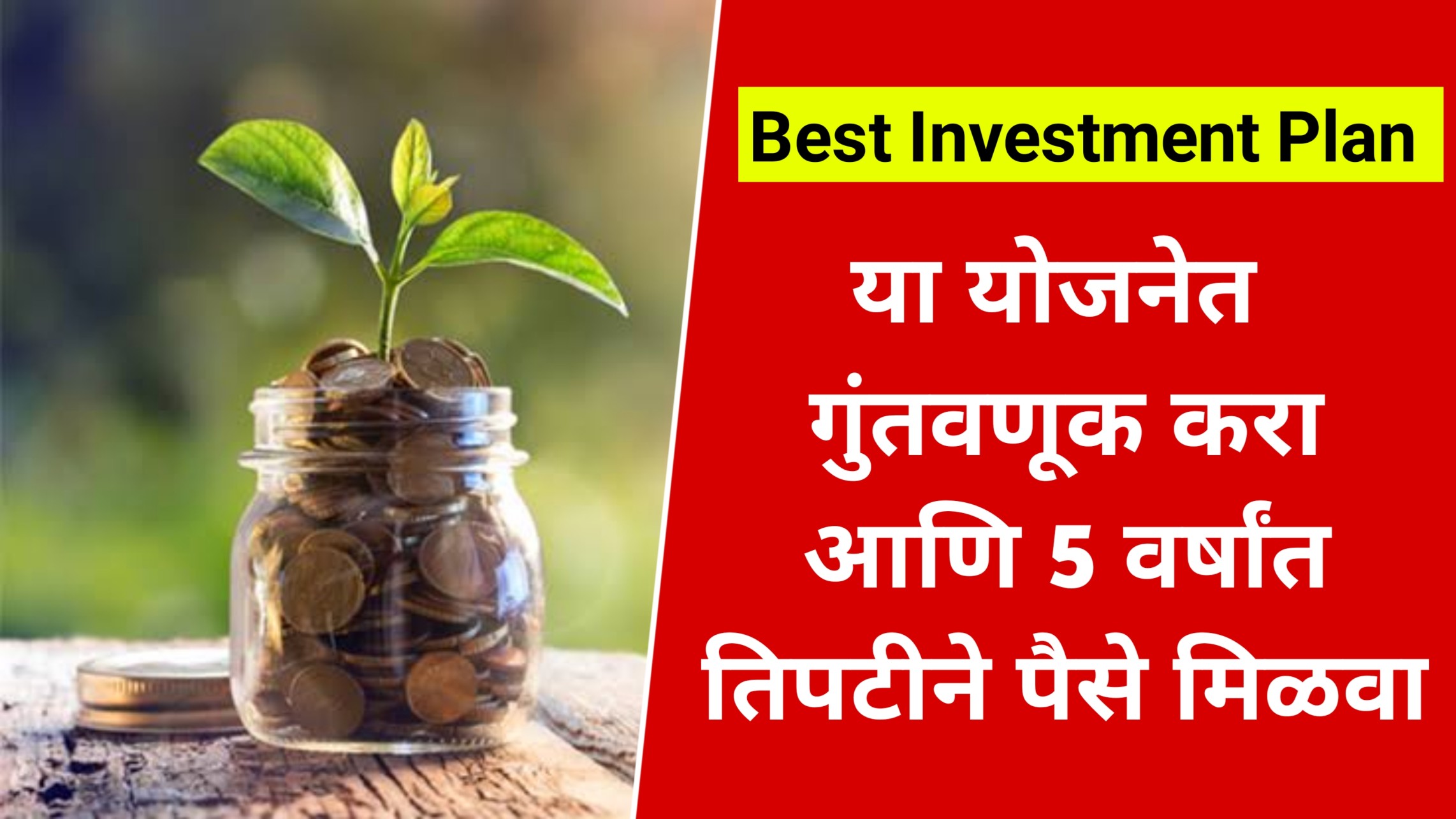 Best Investment Plan