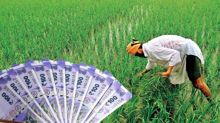 PM Kisan Yojana 14th Instalment: या शेतकऱ्यांना नाही मिळणार 14व्या हप्त्याचे पैसे, का जाणून घ्या?